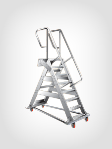 Gangway Ladder