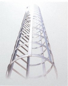 Roof Access Ladder