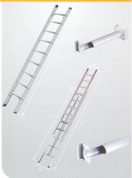 Single Straight Ladder – W-Section & ‘D’ Rung